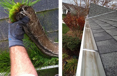 gutter cleaning pressure washing services